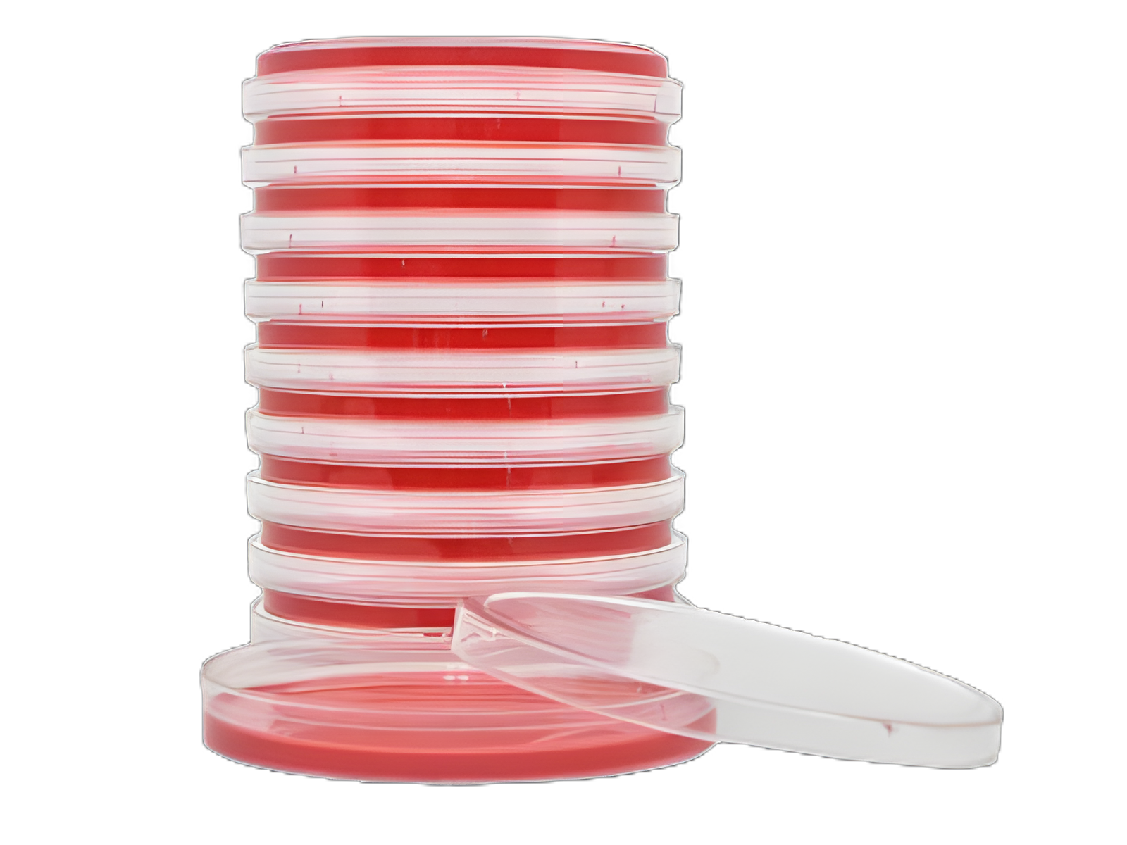 Prepared Media Mannitol Salt Agar Petri Plate Format