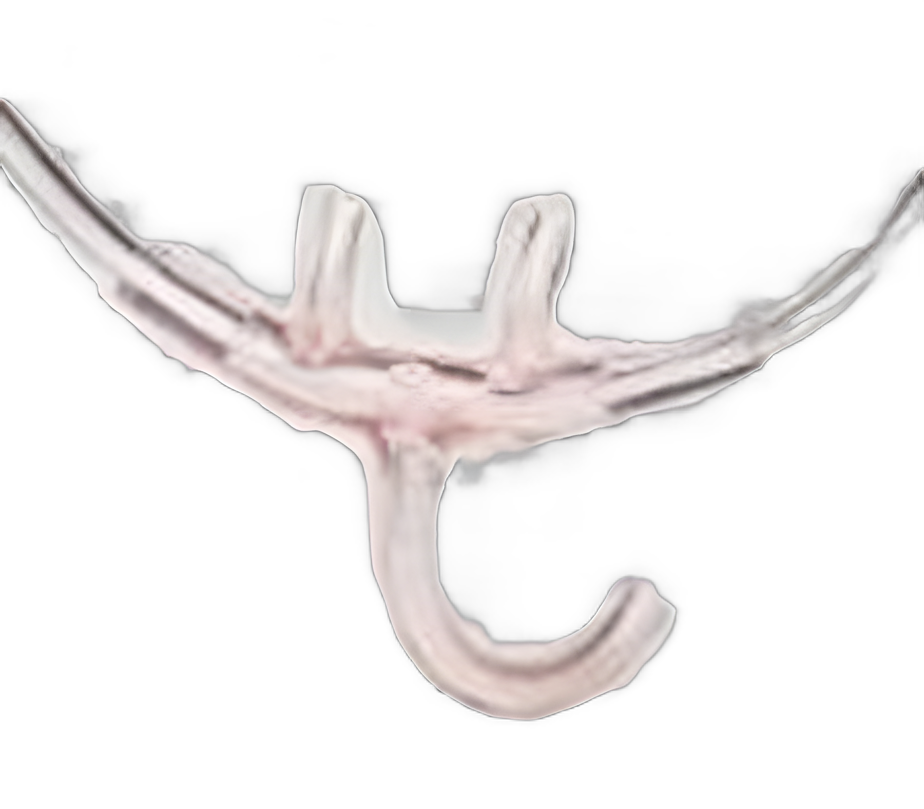 Salter-Lite® Sleep Diagnostic Cannula with Airflow Pressure and Gas Sampling