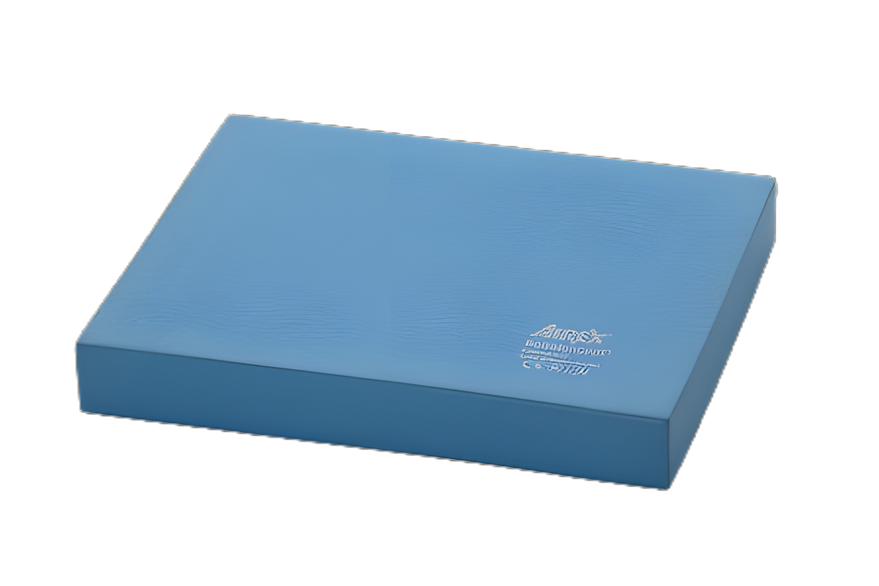Airex® Balance Pad Blue Foam 16 X 20 Inch