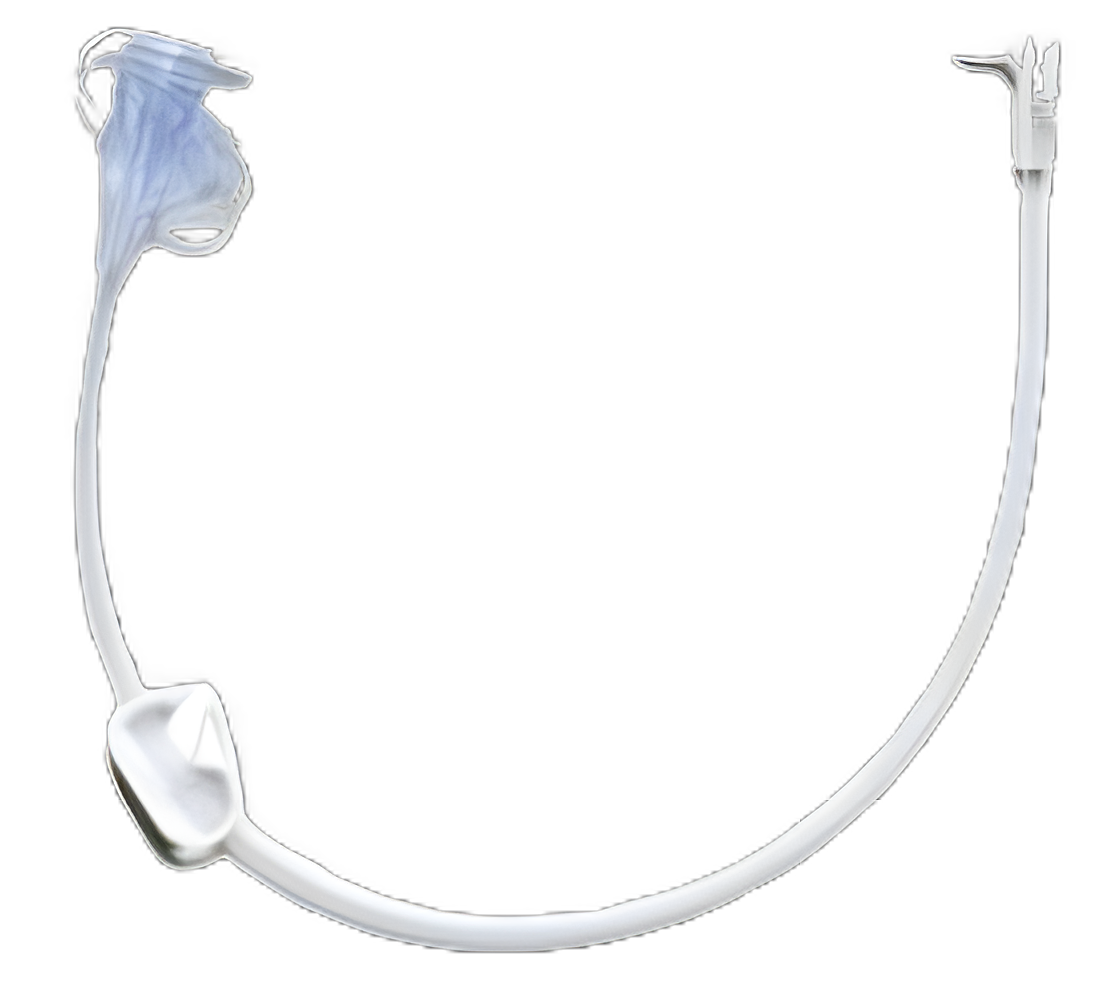 Enteral Feeding Extension Set MIC-Key 12 Inch, NonSterile