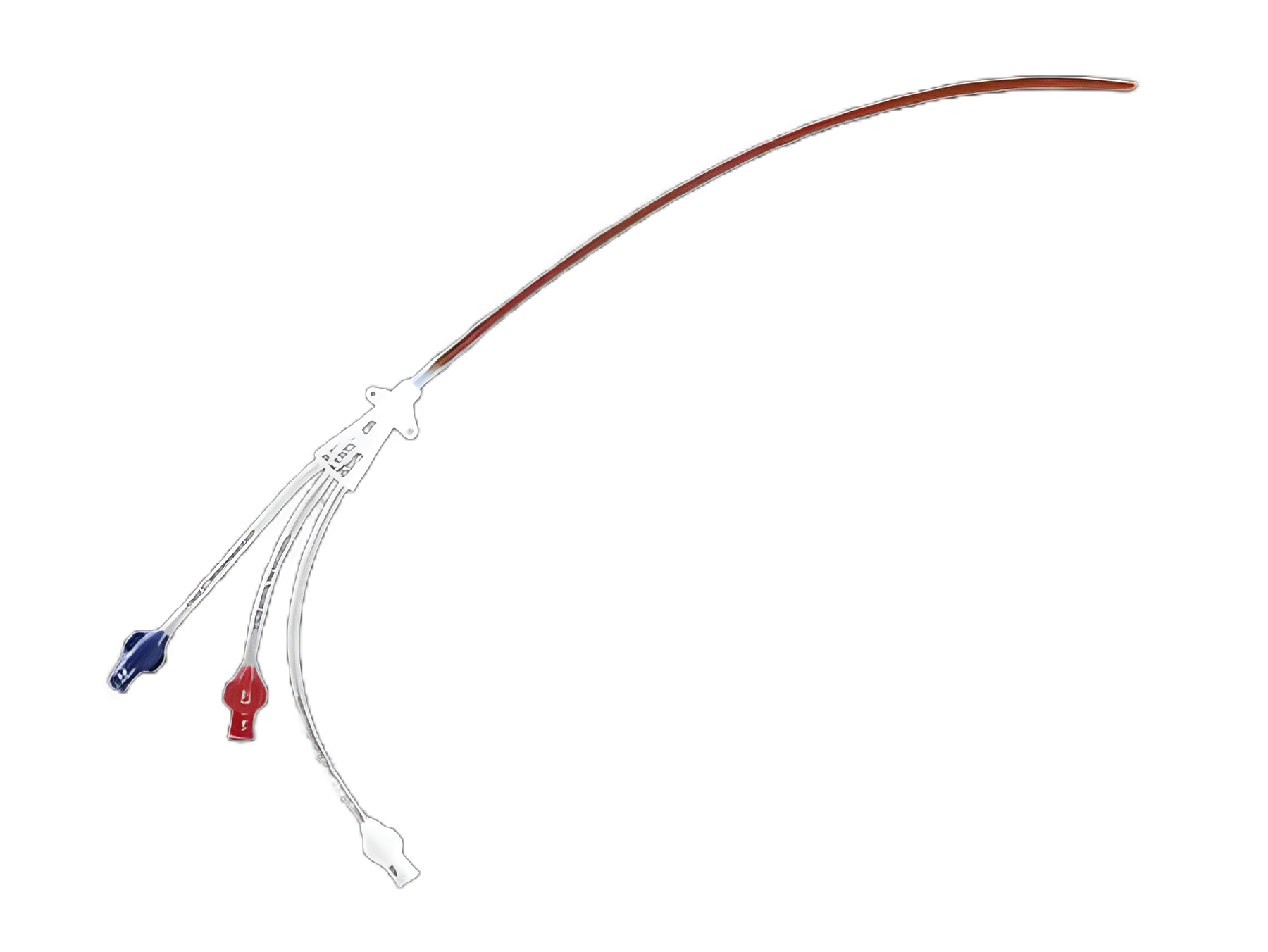 https://usmed-media.usamedpremium.com/public/assets/Catalog/Images/USAMP-26515955.webp