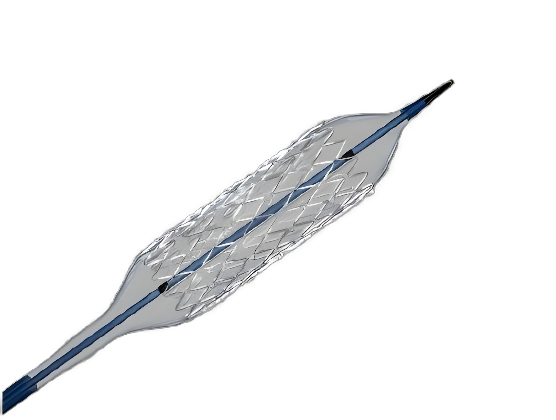 Formula 418® Renal Balloon Expandable Stent - 6.0 Fr. Sheath / 7.0 Fr. Guiding Catheter