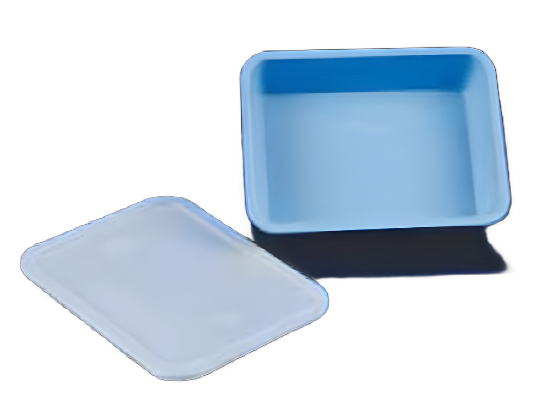 Placenta Basin 3000 mL Rectangle