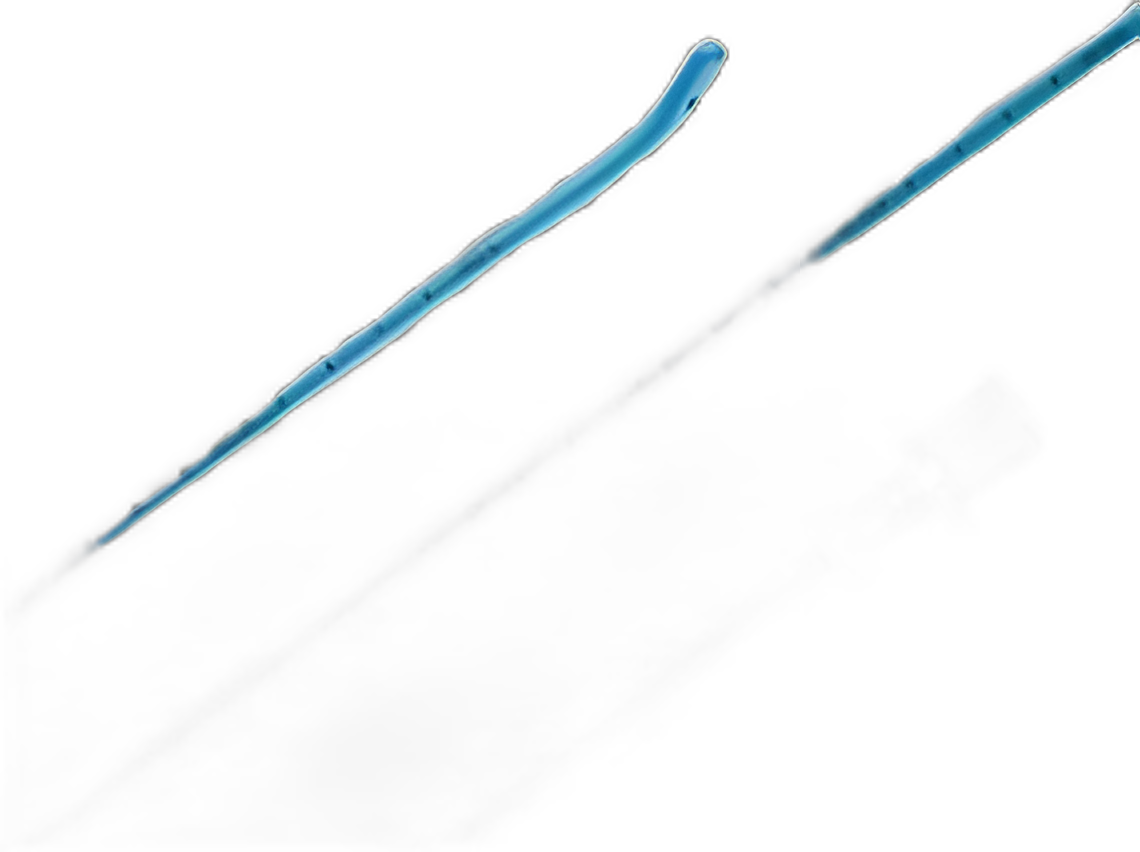 Intubating Introducer Frova 14 Fr. X 70 cm Length, 3 mm Catheter ID - G23646