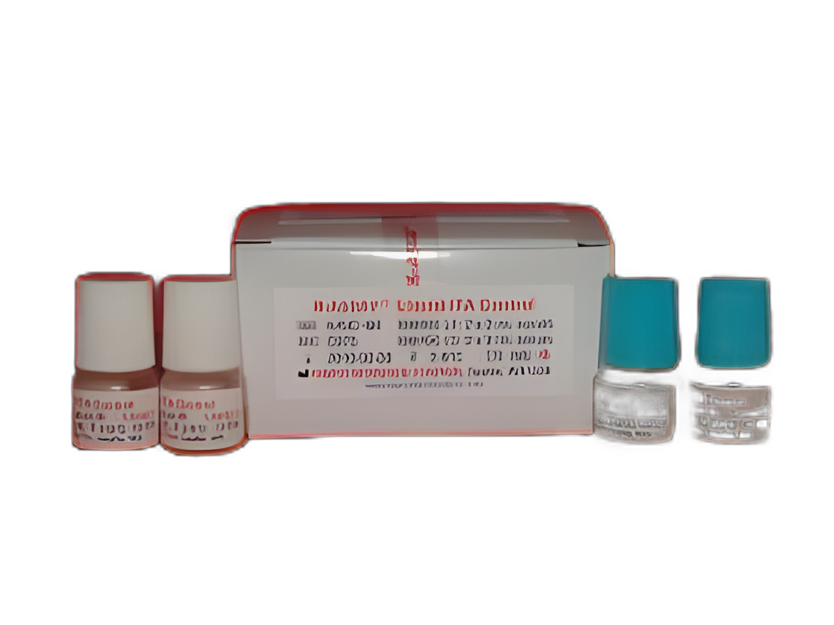 Control Set ITA 2 Levels 4 X 2 mL