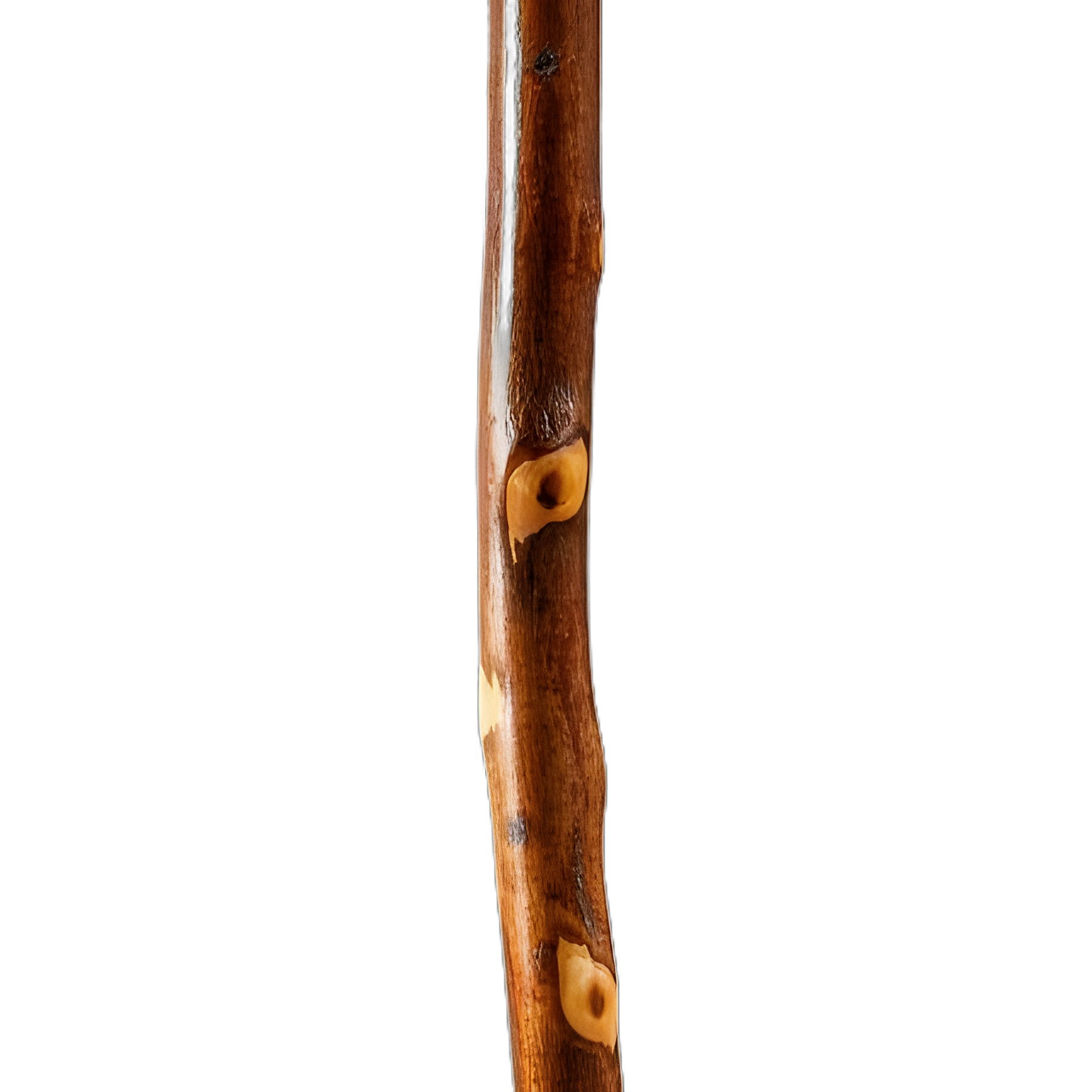 Walking Stick Brazos™ Free Form Wood 58 Inch Height Hawthorn