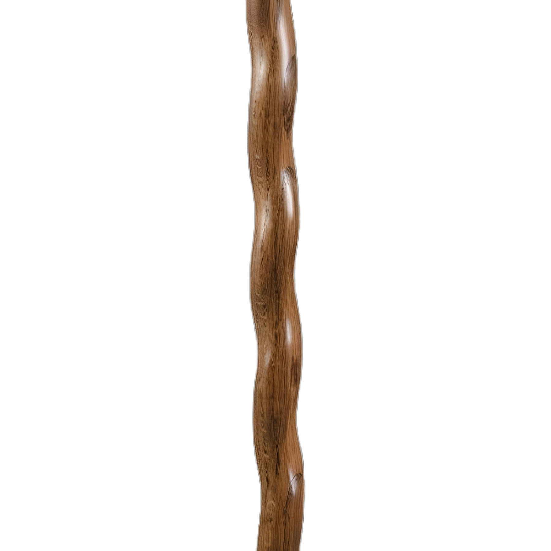 Walking Stick Brazos™ Twisted Backpacker Wood 58 Inch Height Brown Oak