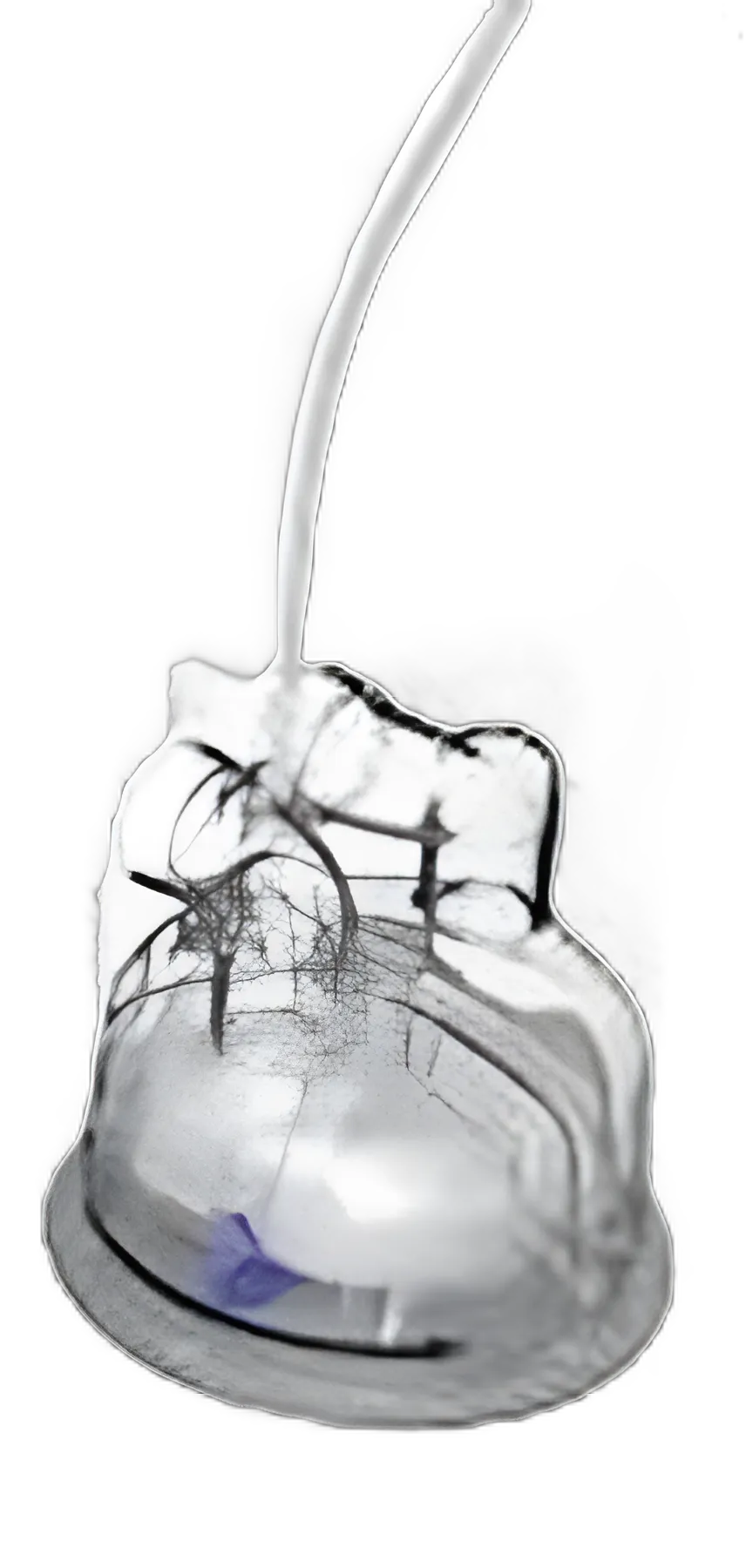 Fisher & Paykel Humidification Chamber 280 mL Unfilled Universal - 900PT290E