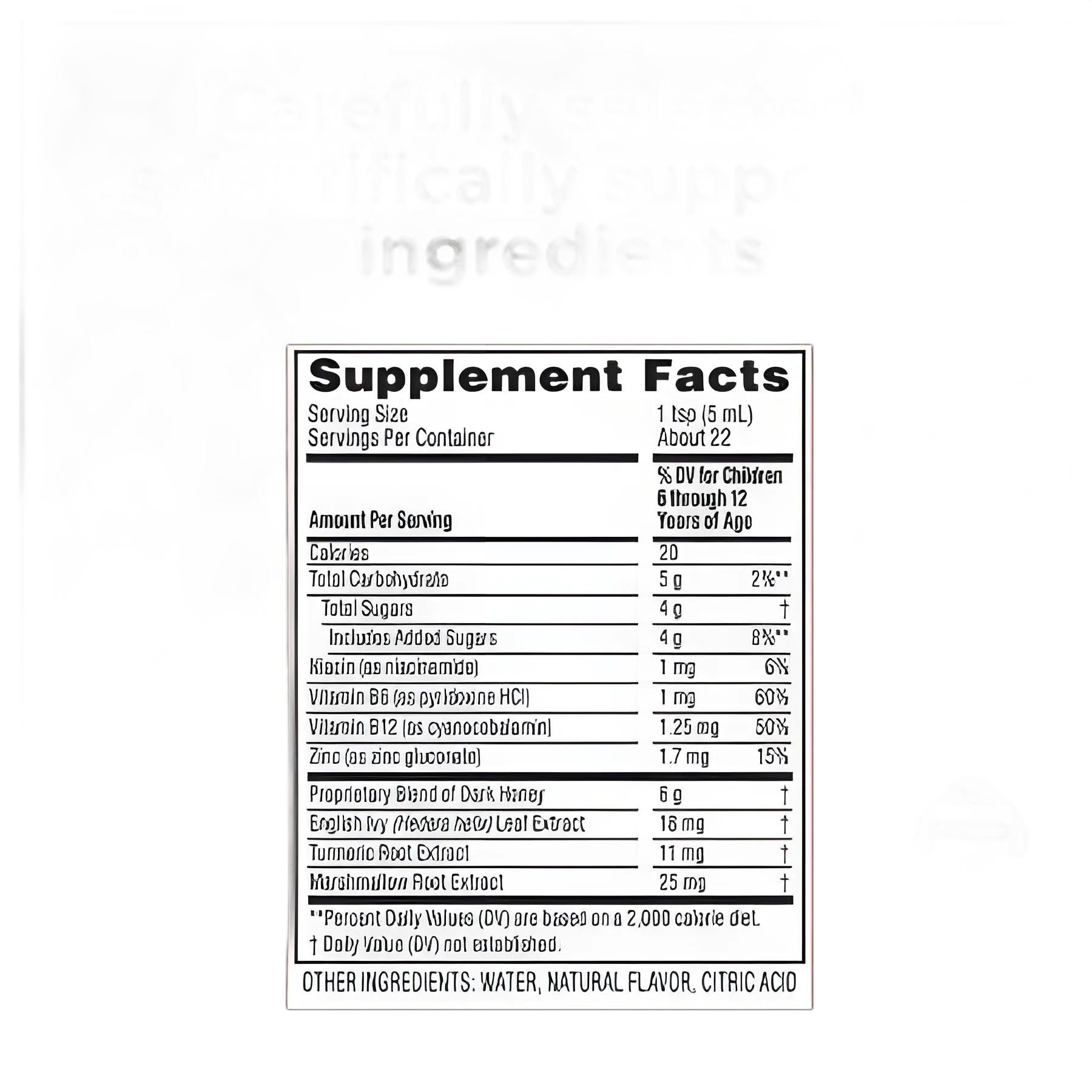 Children's Cold and Cough Relief Zarbee's® All-in-One Daytime Cough Syrup+ Mucus, Throat & Nasal 6 g Strength Syrup 4 oz.