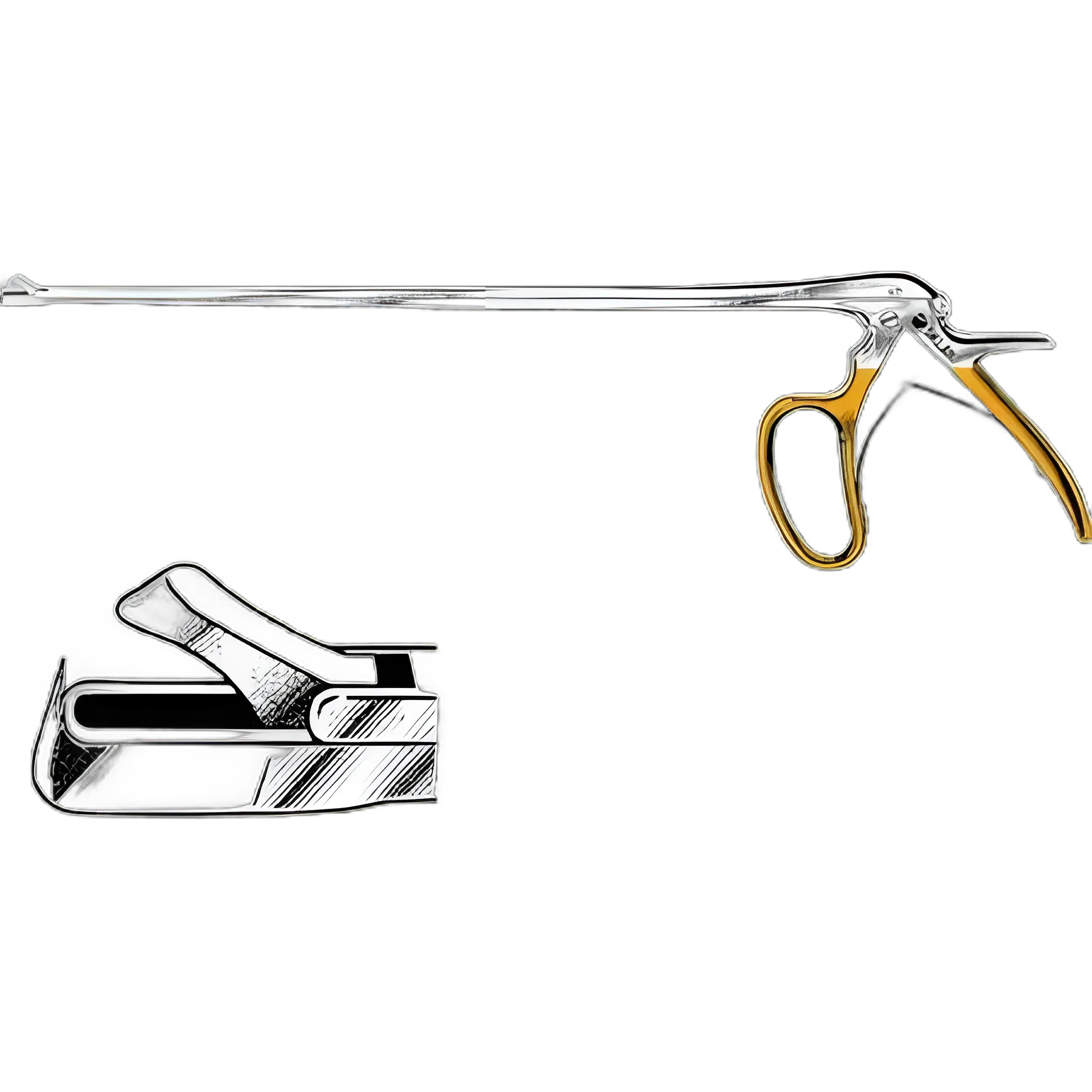 Microneurosurgery 4A ⅣA BD Nexiva™ Closed IV Catheter System - Dual Port with BD Q