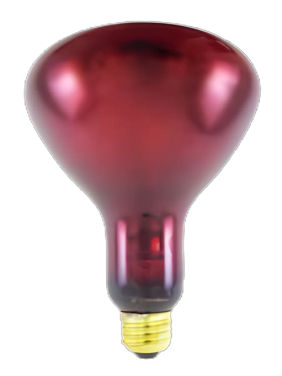 Surgical Infrared Lamp