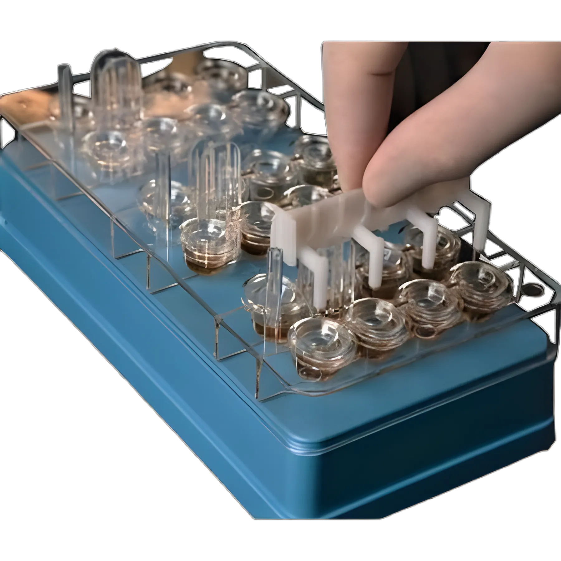 Allergy Testing Tray 24-Well with Blue Lid - Allergy Associates