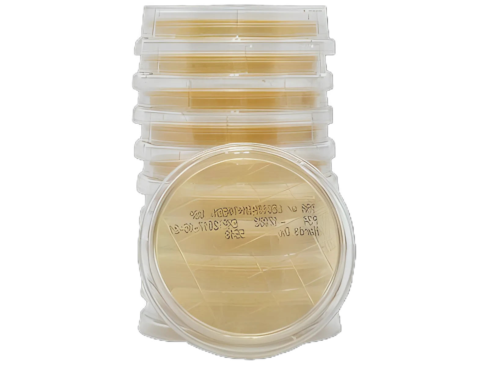 Prepared Media Lok-Tight™ Tryptic Soy Agar (TSA) Plates with Lecithin & Tween® 80 by Hardy Diagnostics