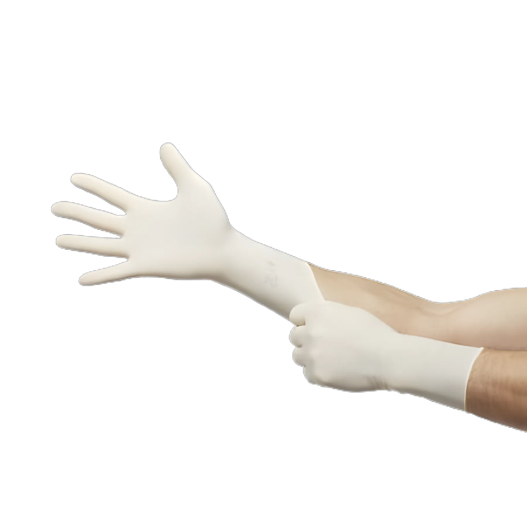 Surgical Glove ENCORE® Latex Textured Size 8 Sterile Latex Standard Cuff Length Fully Textured Ivory Chemo Tested