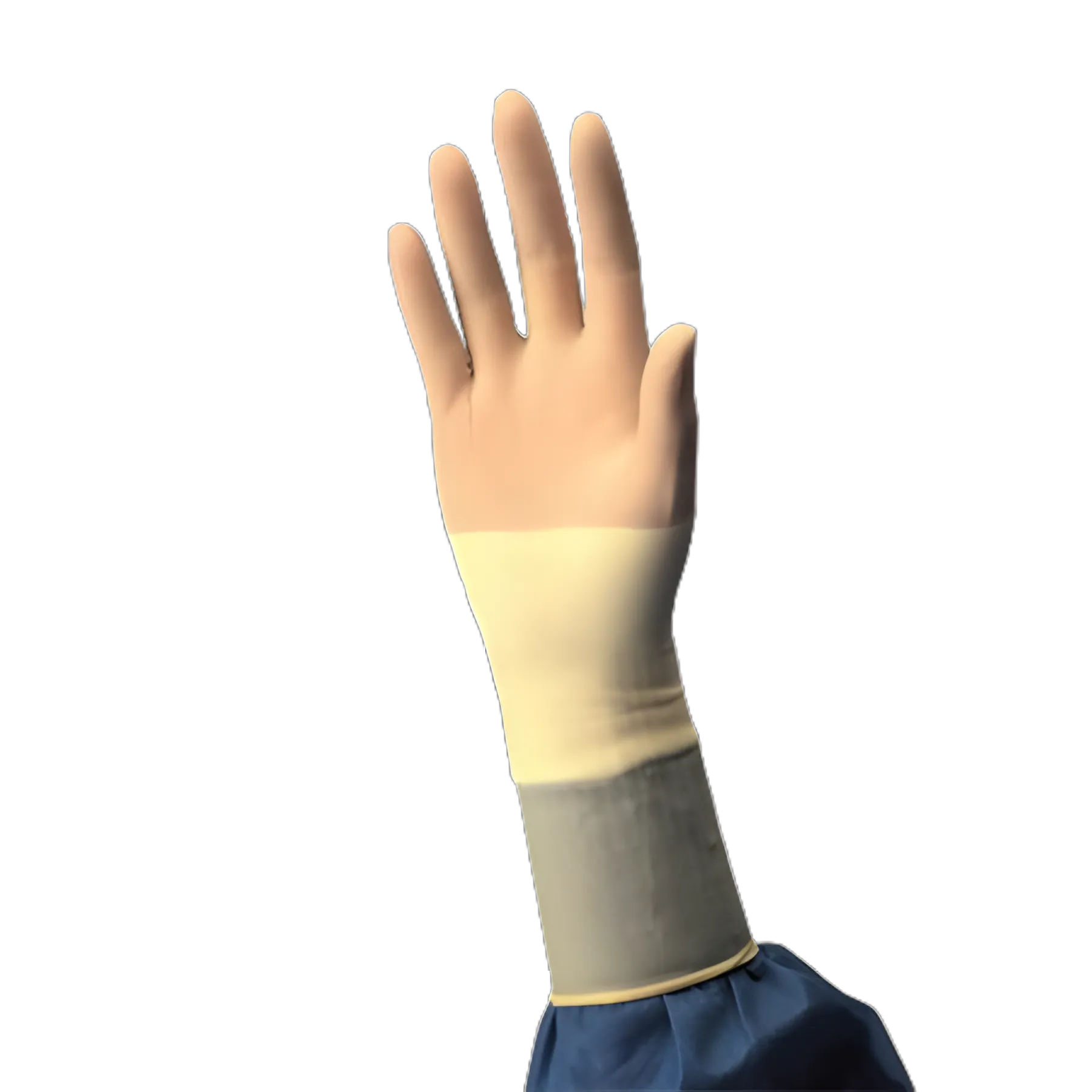 Surgical Glove Protexis™ PI Size 8 Sterile Polyisoprene Standard Cuff Length Smooth Ivory Chemo Tested