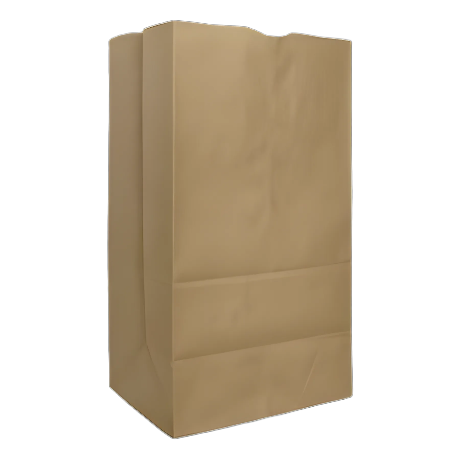 Grocery Paper Bags, 57 lb Capacity, #25, 8.25" x 6.13" x 15.88", Kraft, 500 Bags