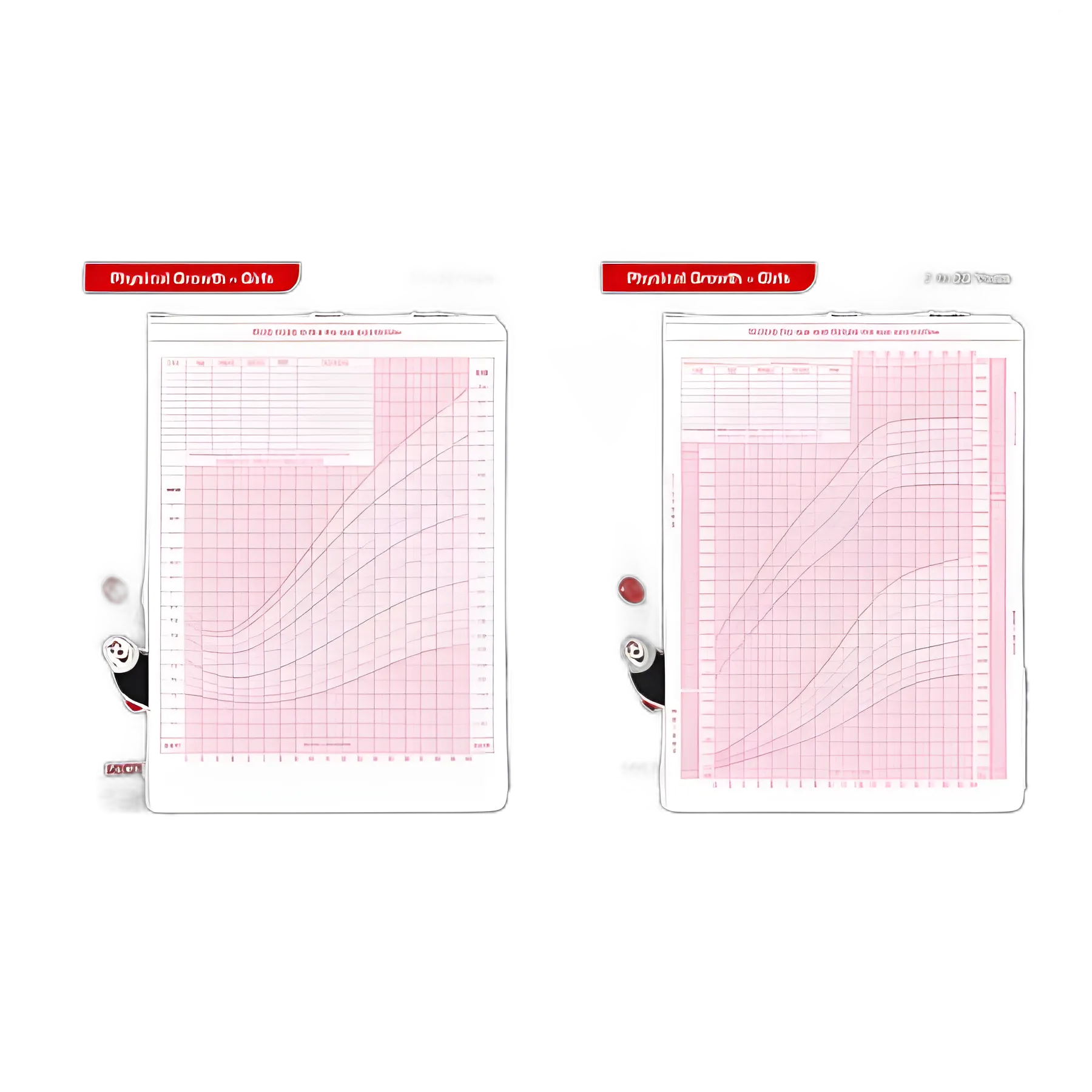 Growth Charts Girls 2-20 Years seca® 406G Girls 2 - 20 Years