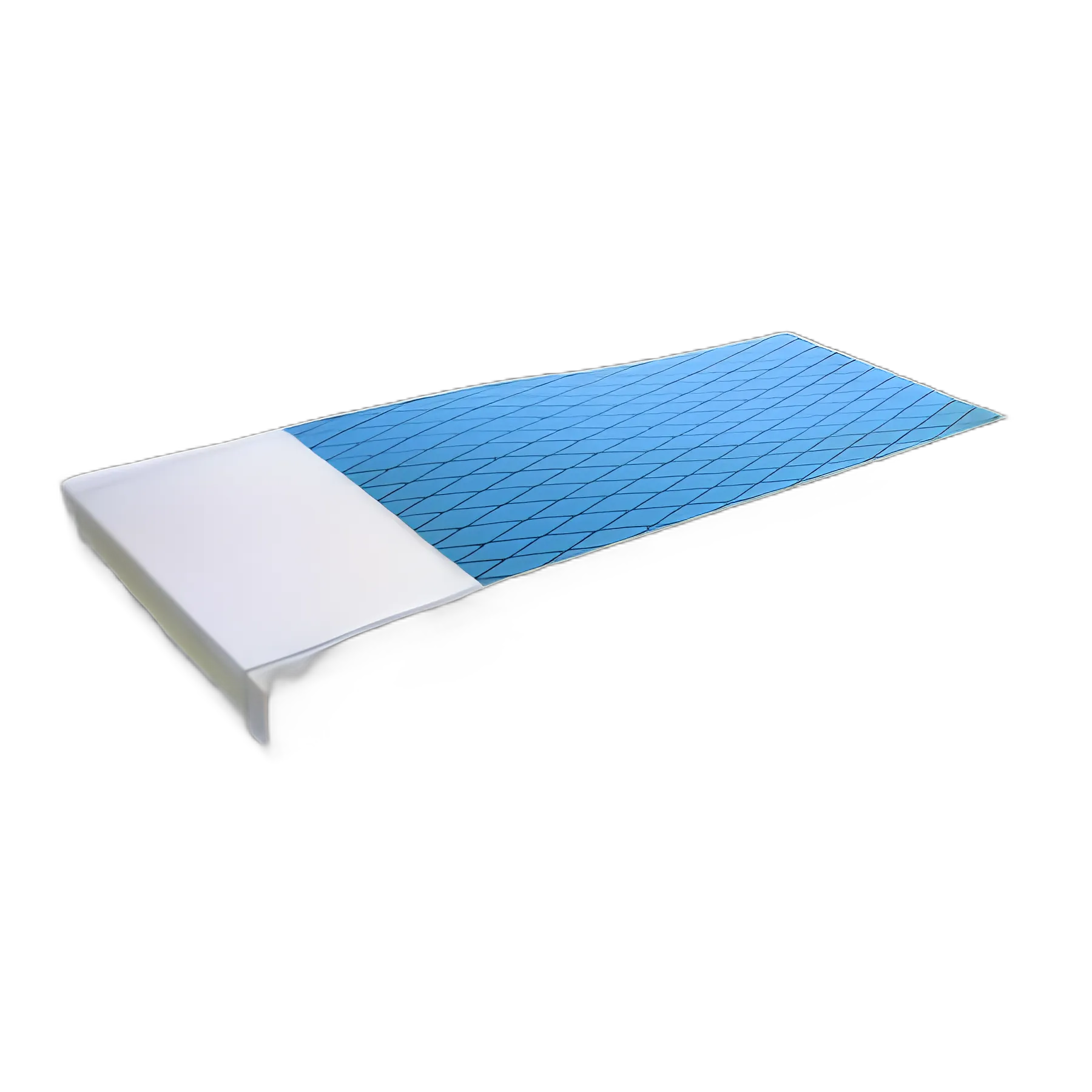 Mattress Protekt® 300 84 X 36 Inch