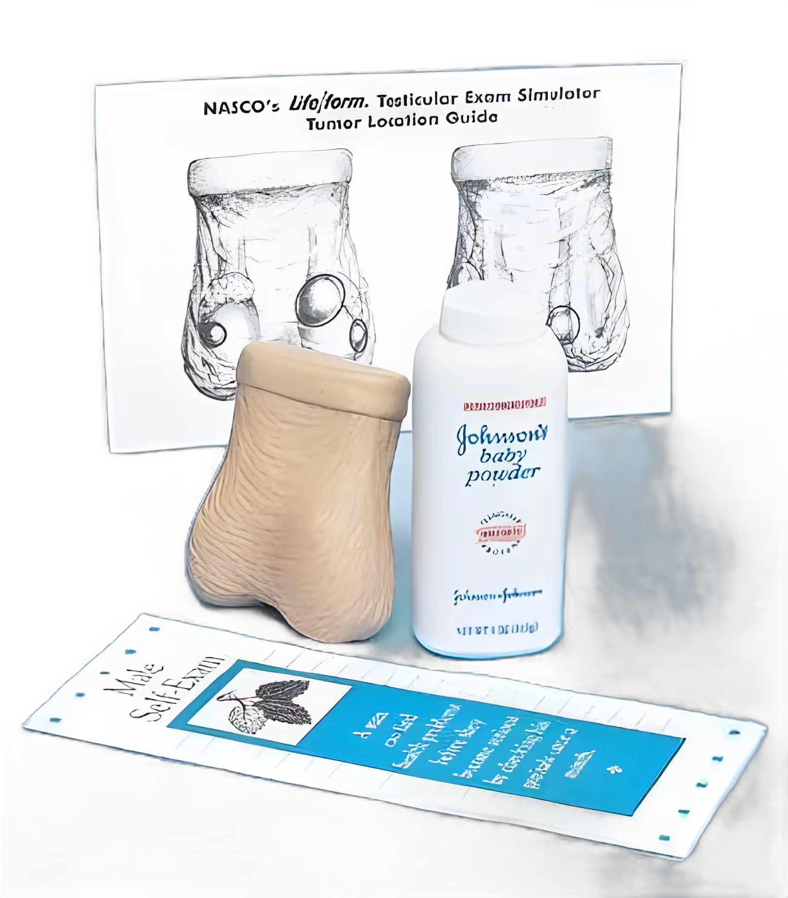 Testicular Exam Simulator Life/form® Male