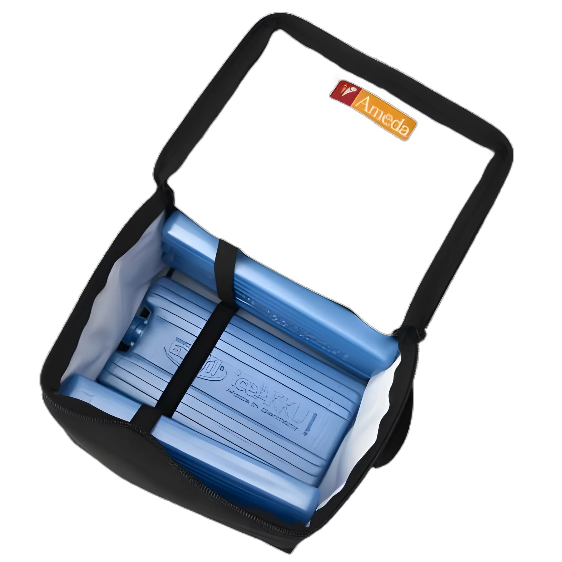 Ameda Mya Cool’N Carry Insulated Breast Milk Bag